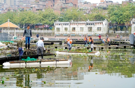 美化公園環(huán)境