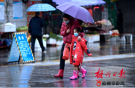 春雨綿綿 氣溫驟降