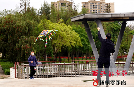 盡享春日好時(shí)光