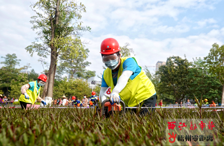 比拼園林綠化職業技能