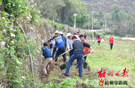 維護(hù)水利 植樹造林