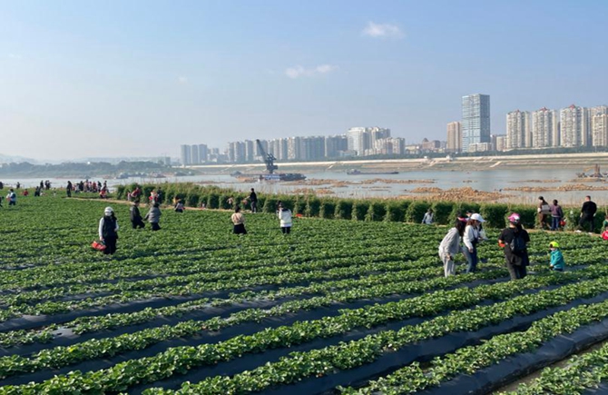 打造生態農業體驗公園