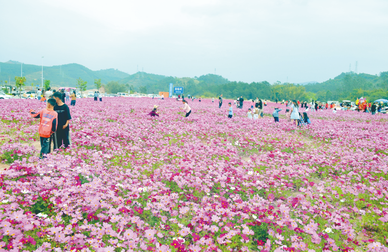 打造花園式工業園區