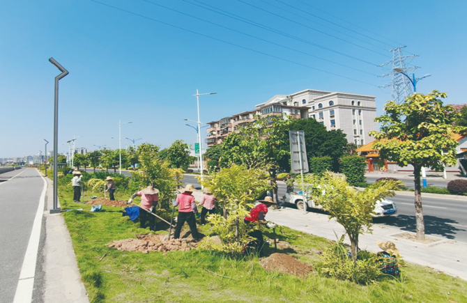 升級道路綠化景觀