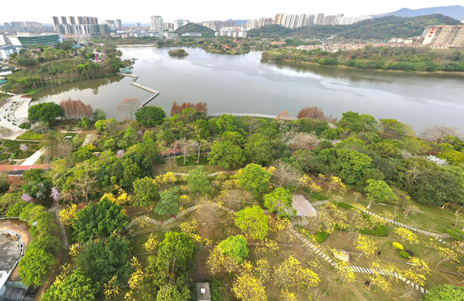 春日盛景 美不勝收